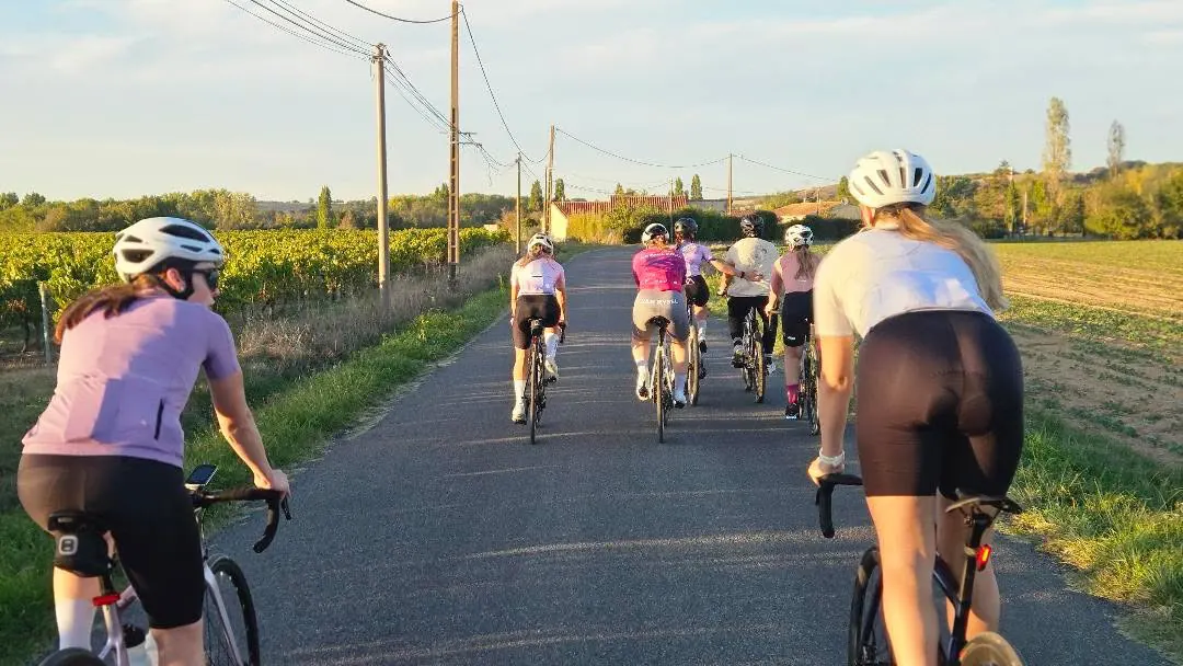 Le peloton du collectif roule entre les vignes, en fin de journée